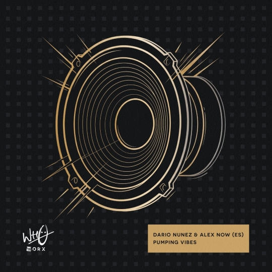 Dario Nunez & Alex Now (ES) - Pumping Vibes (Extended Mix)
