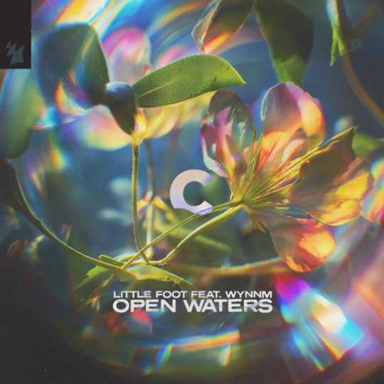 Little Foot feat. Wynnm - Open Waters (Extended Mix)