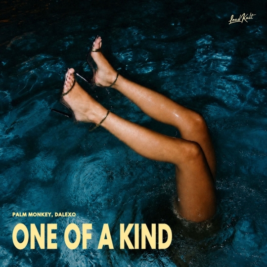 DALEXO & Palm Monkey - ONE OF A KIND (Original Mix)