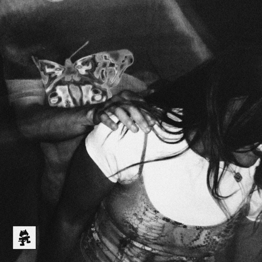 blunn, KESTRINA - someone u dont know (Original Mix)