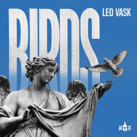 LEO VASK - Birds (Extended Mix)