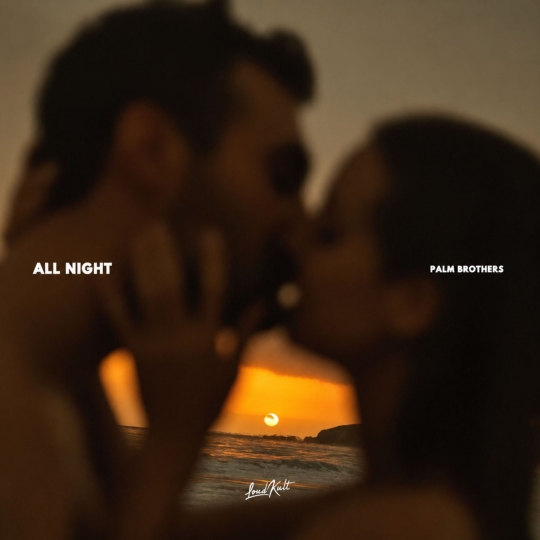 Palm Brothers - ALL NIGHT (Original Mix)