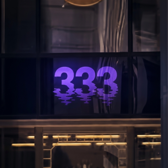 Super Flu, Peace Control, Eric Reyes - 333 (Extended Mix)
