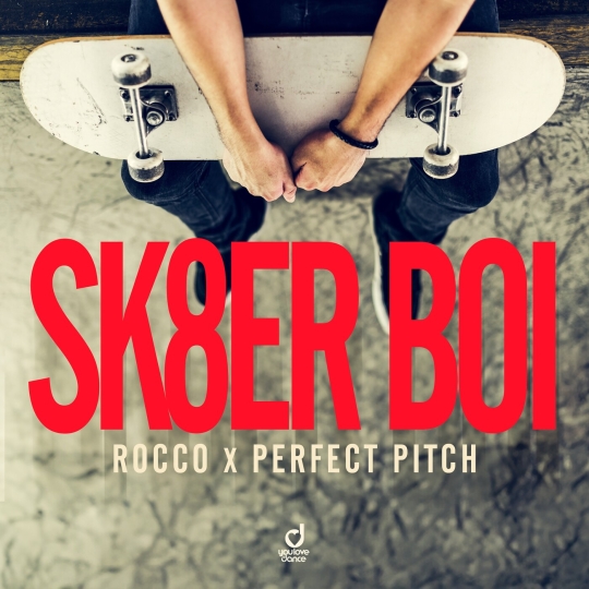Perfect Pitch & Rocco - Sk8er Boi (Extended Mix)