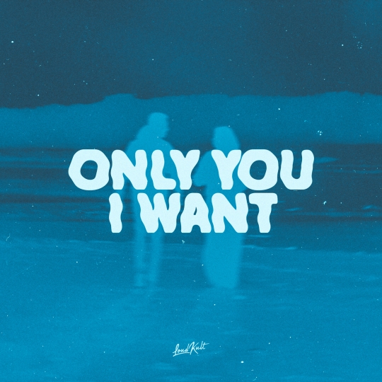 Rocky Raccoon - Only You I Want (Original Mix)