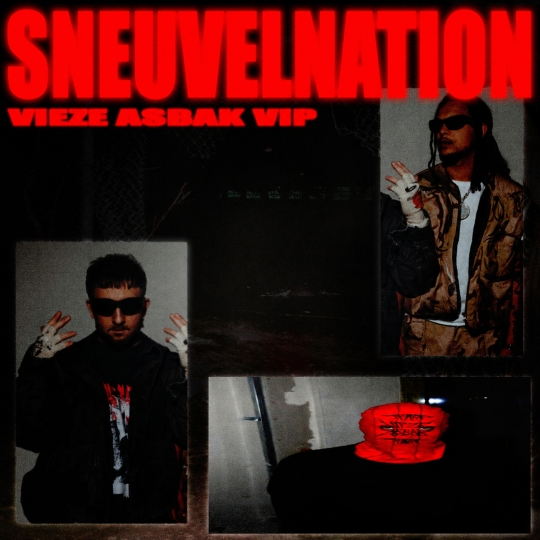 Ronnie Flex, Mr. Polska, Vieze Asbak - Sneuvelnation VIP (Original Mix)