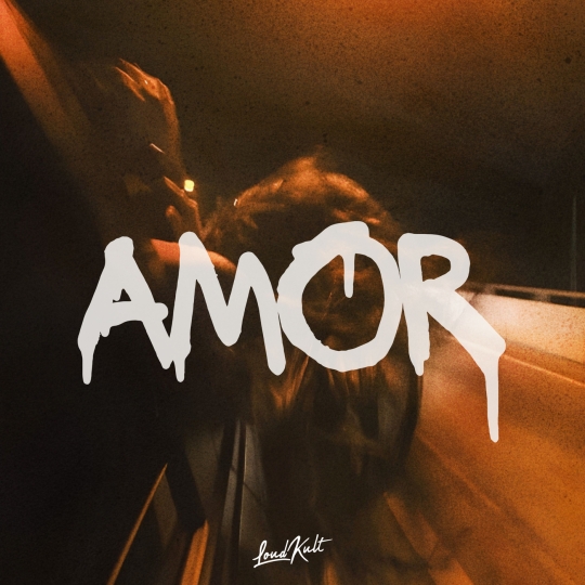 Boix, Breakloop, Sanxez, SOMOS (CH) & Pukas - Amor (Extended Mix)