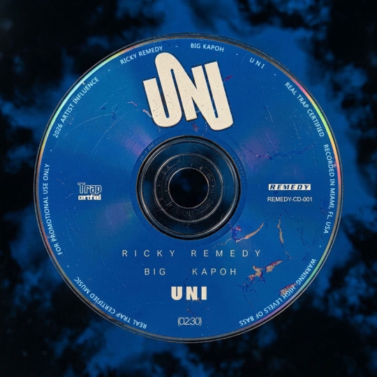Ricky Remedy - U N I (Original Mix)