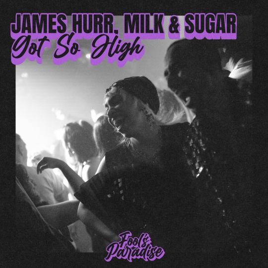 James Hurr, Milk & Sugar - Got So High (Extended Mix)