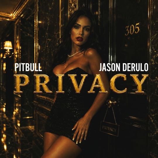 Pitbull & Jason Derulo - Privacy (Original Mix)