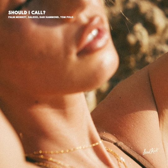 DALEXO, Dan Hammond, Tom Polo & Palm Monkey - SHOULD I CALL (Original Mix)