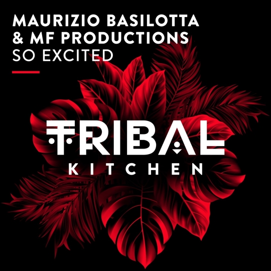 Maurizio Basilotta - So Excited (Extended Mix)