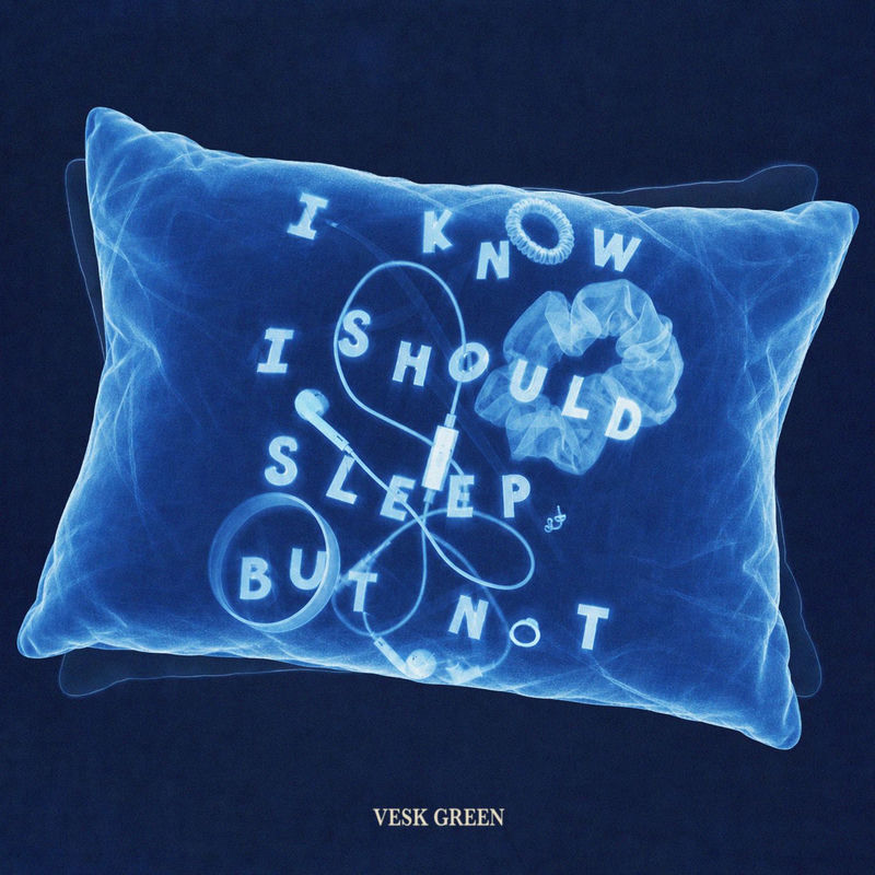 Vesk Green - I KNOW I SHOULD SLEEP, BUT NOT (Original Mix)