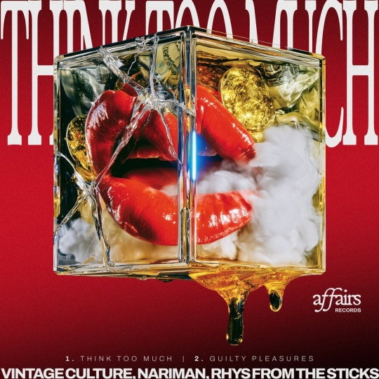 Vintage Culture - Guilty Pleasures (Original Mix)