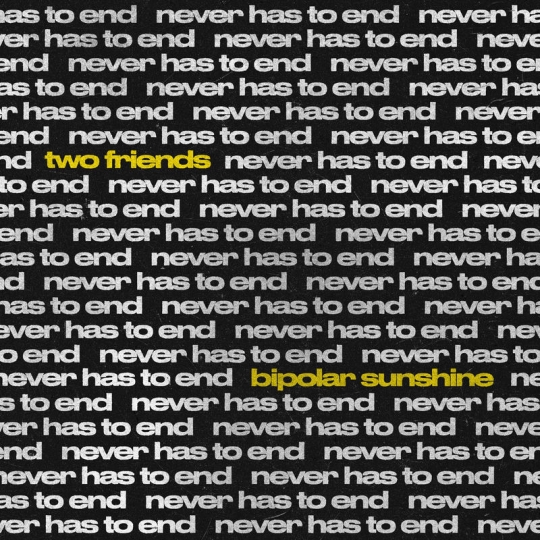 Two Friends & Bipolar Sunshine - never has to end (Original Mix)