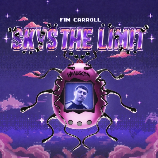 Fin Carroll - Skys The Limit (Original Mix)
