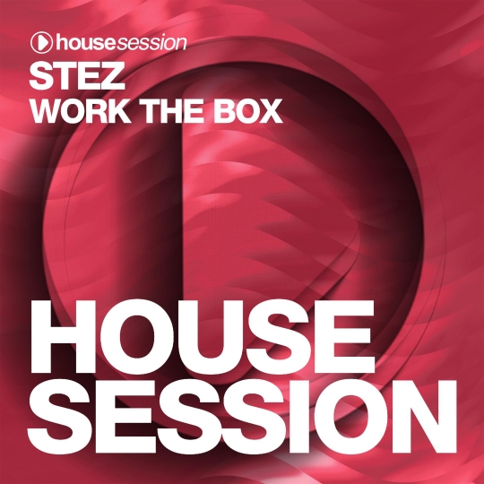 STEZ - Work The Box (Extended Mix)