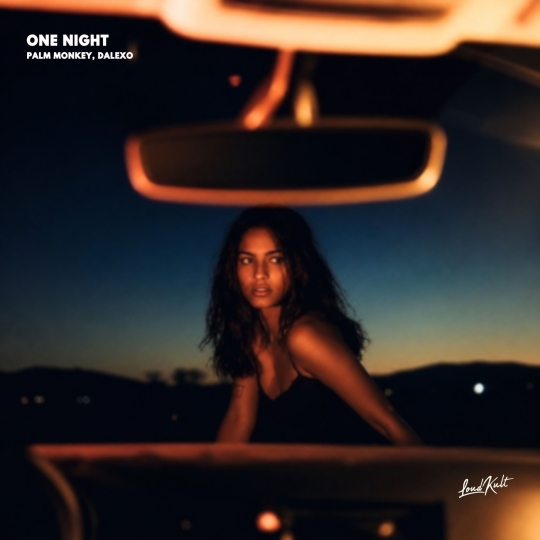 DALEXO & Palm Monkey - ONE NIGHT (Original Mix)