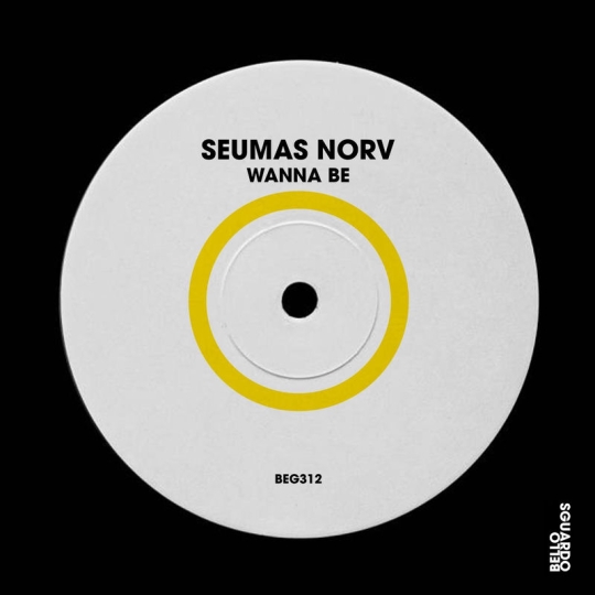Seumas Norv - Wanna Be (Extended Mix)