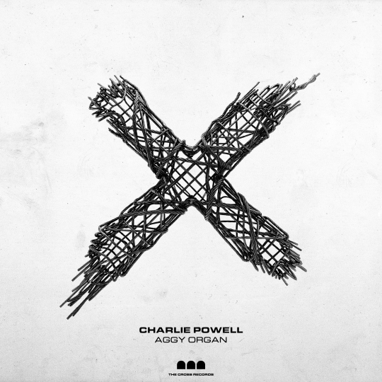 Charlie Powell - Aggy Organ (Extended Mix)