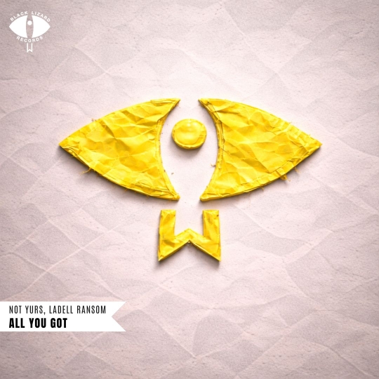 Not Yurs, Ladell Ransom- All You Got (Extended Mix)
