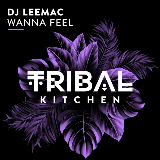 Dj LeeMac - Wanna Feel (Extended Mix)