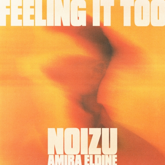 Noizu & Amira Eldine - Feeling It Too (Extended Mix)