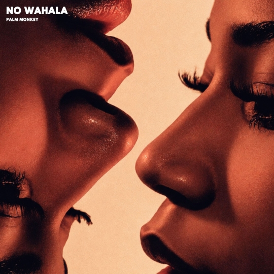 Palm Monkey - NO WAHALA (Original Mix)