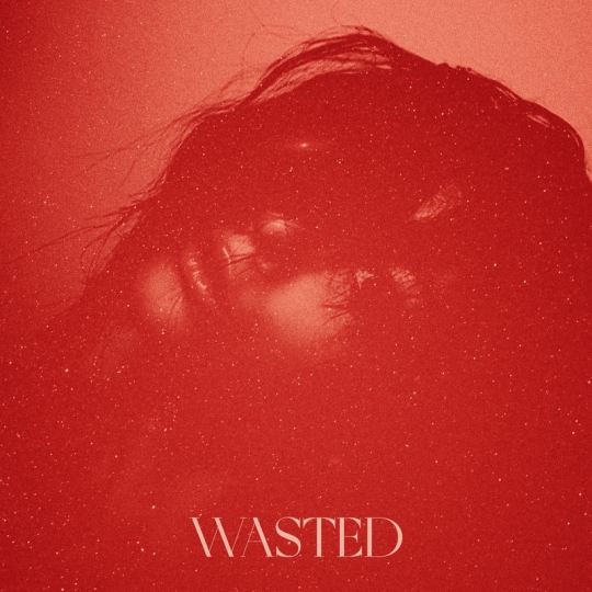 Naarly & Major League Djz - WASTED (Original Mix)