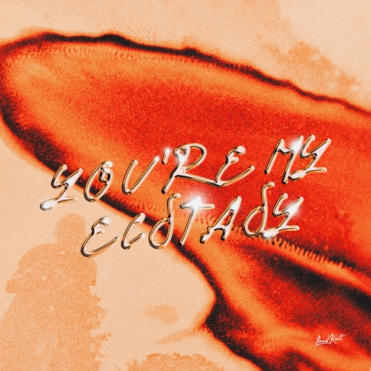 &Acirc;me & Heliograph - You're My Ecstasy (Extended Mix)