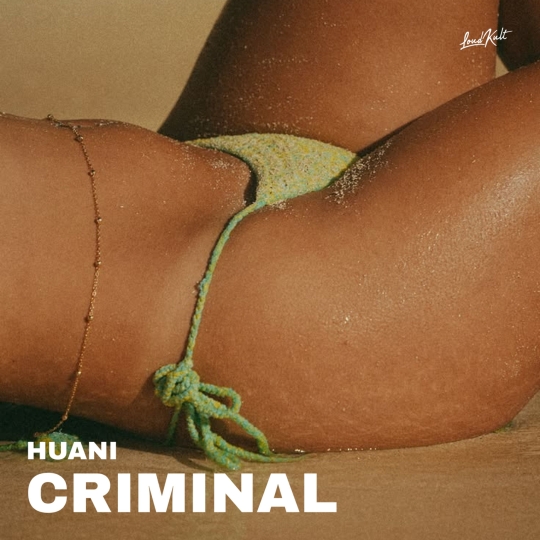 HUANI - Criminal (Original Mix)