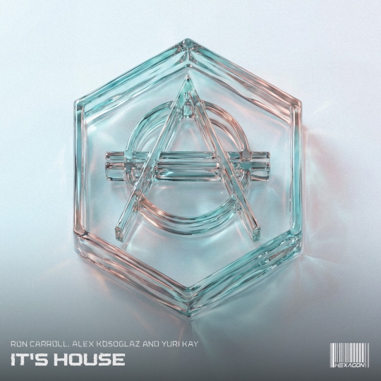 Ron Carroll, Alex Kosoglaz, Yuri Kay - It's House (Extended Mix)