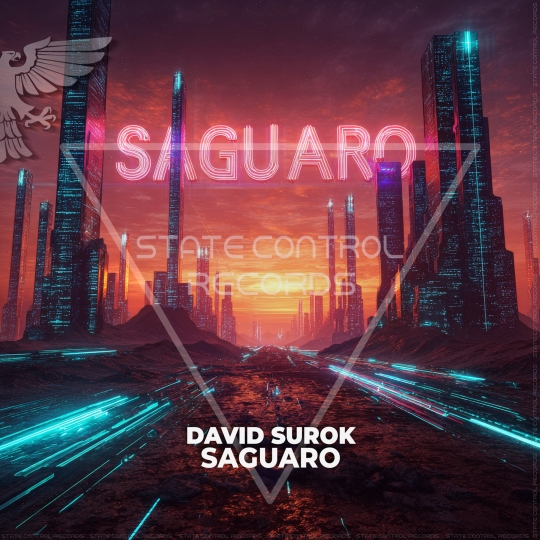 David Surok - Saguaro (Extended Mix)