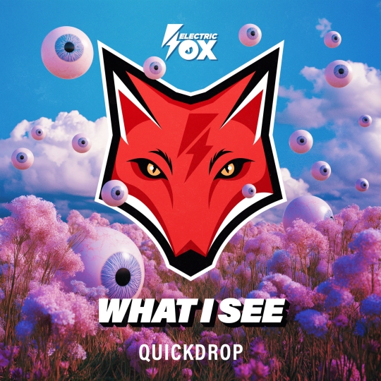 Quickdrop - What I See (Extended Mix)