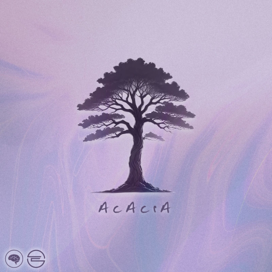 ENiGMA Dubz - Acacia (Original Mix)