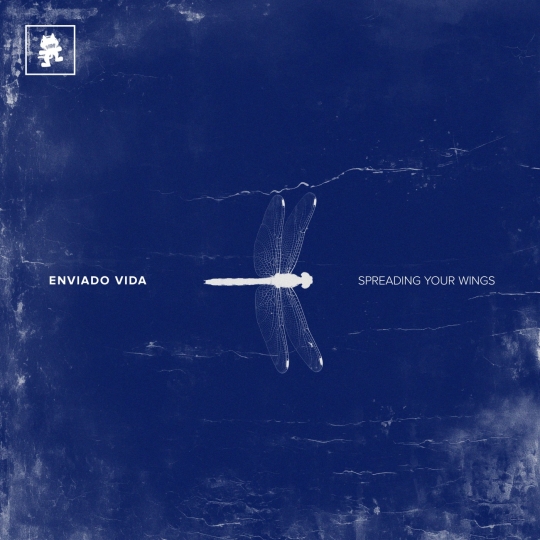 Enviado Vida - Spreading Your Wings (Extended Mix)