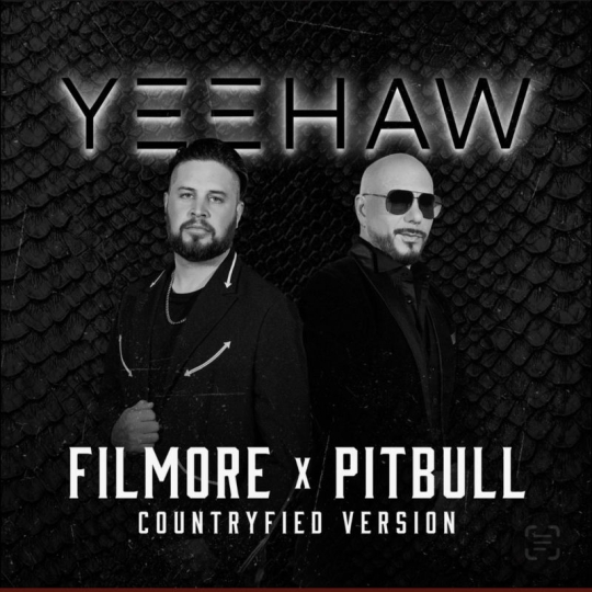 Filmore & Pitbull - Yeehaw (Countryfied) (Original Mix)
