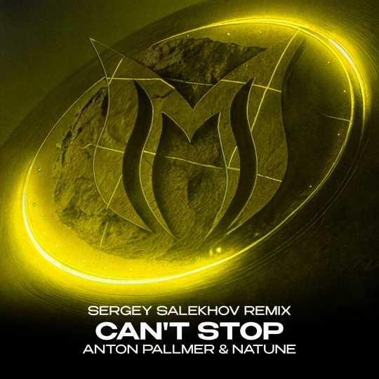 Anton Pallmer & Natune - Can't Stop (Sergey Salekhov Extended Remix)