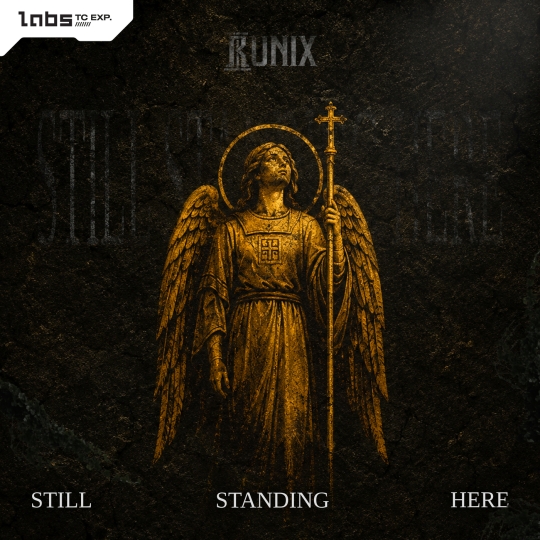 Runix - Still Standing Here (Pro Mix)