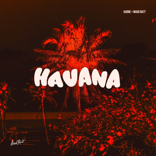 Madd Natt, KARNE - Havana (Original Mix)