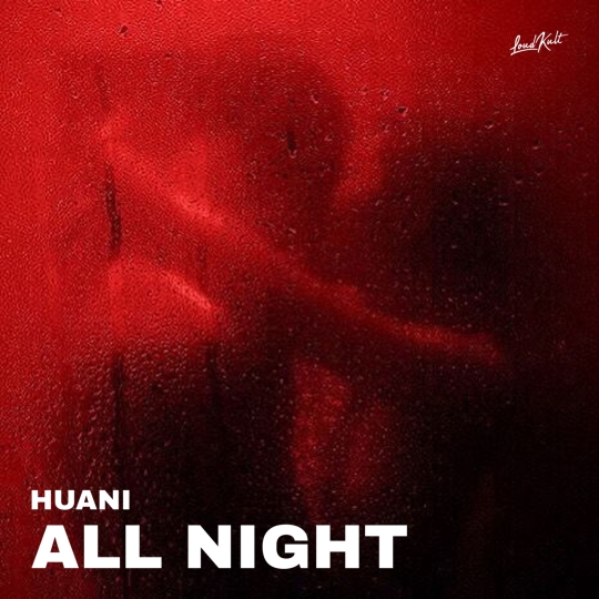 HUANI - All Night (Original Mix)