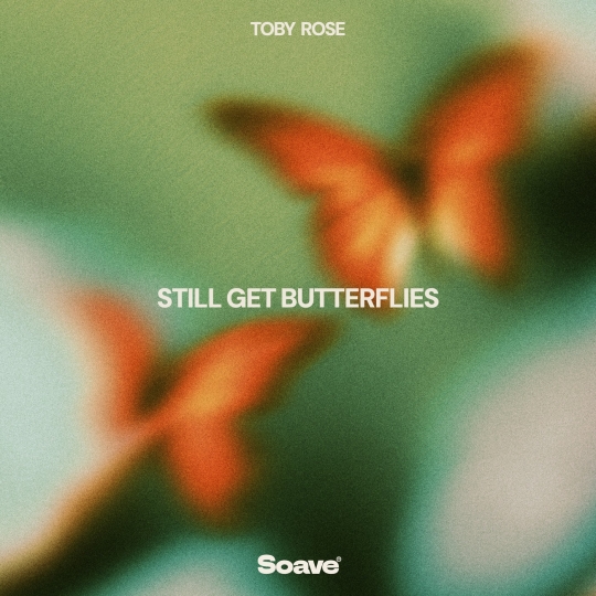 Toby Rose - Still Get Butterflies (Original Mix)