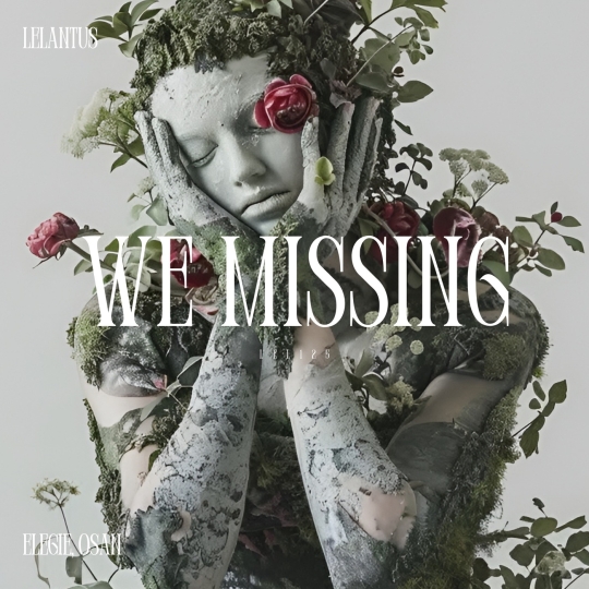 Osan & Elegie - We Missing (Original Mix)