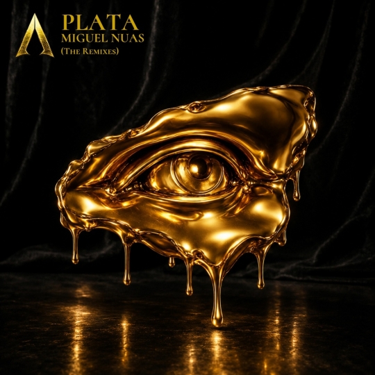 Miguel Nuas - Plata (DRE&Oslash; Extended Remix)