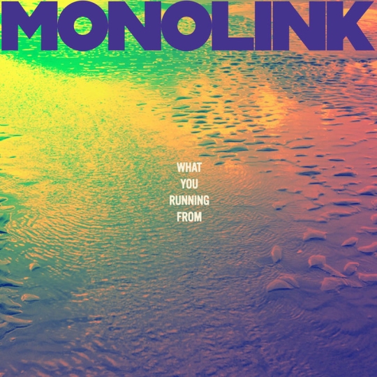 Monolink - What You Running From (Original Mix)