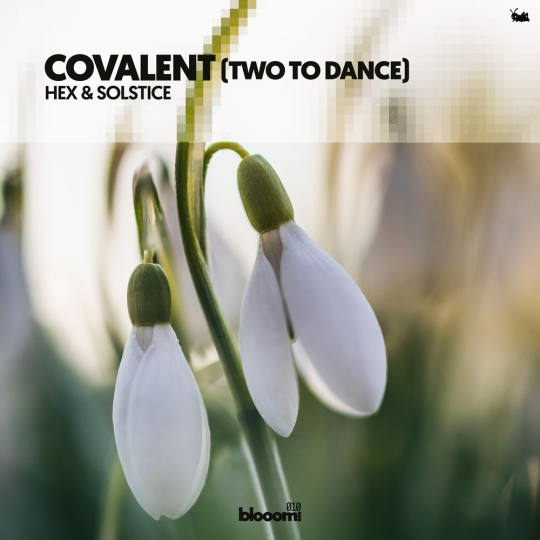 Hex & Solstice - Covalent (Two To Dance) (Leon Bolier Podium Extended Mix)
