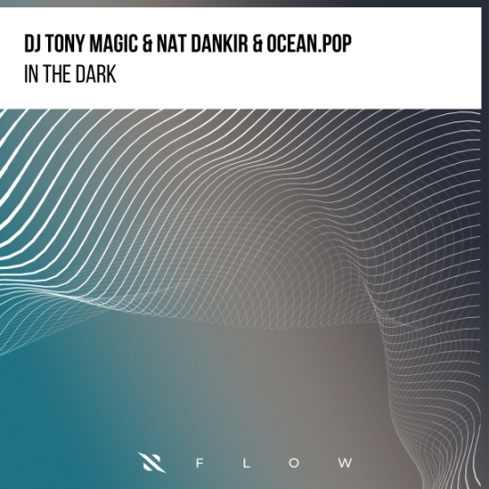 DJ Tony Magic, Nat Dankir, ocean.pop - In the Dark (Extended VIP Mix)
