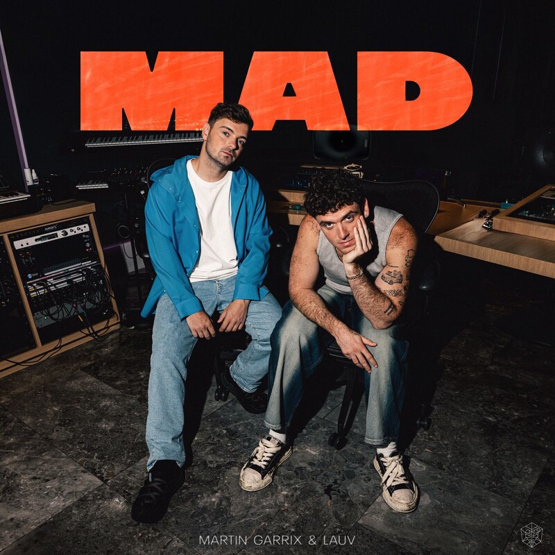 Martin Garrix & Lauv - MAD (Original Mix)