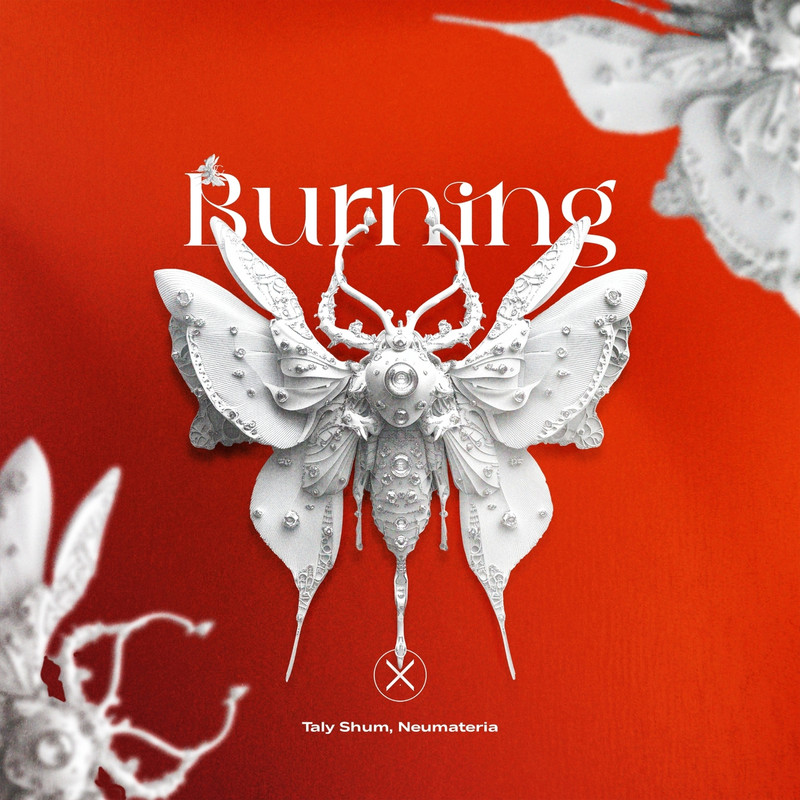 Taly Shum, Neumateria - Burning (Extended Mix)