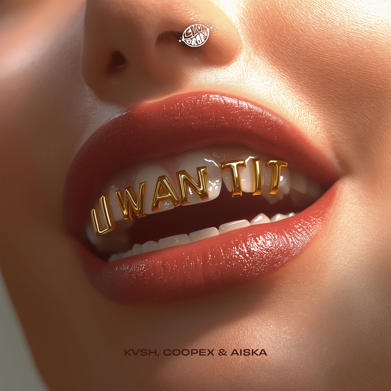 KVSH, Coopex & AISKA - U Want It (Extended Mix)